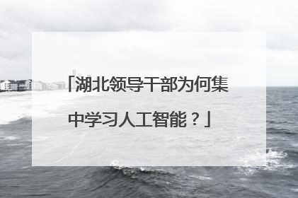 湖北领导干部为何集中学习人工智能？
